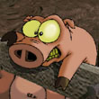 PiyPiy